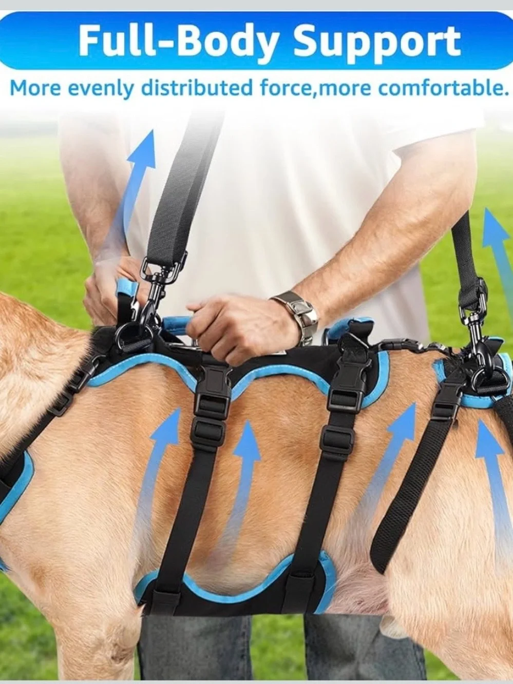 Dog Lift Harness for Large Male Dogs, 2-in-1, Back Leg Support & Mobility Assist